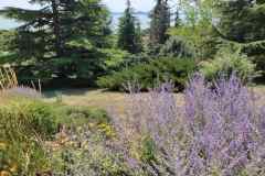 Szarazsagturo-evelok