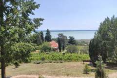 Szoloultetveny-es-boraszat